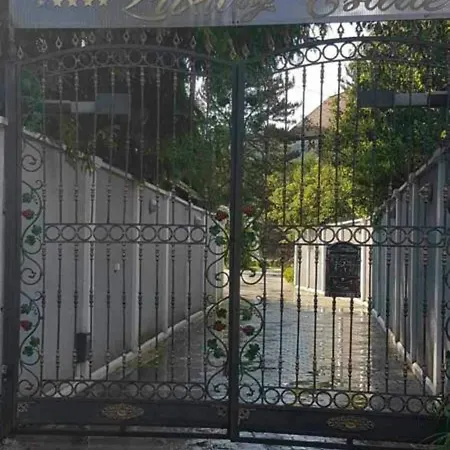 Villa Luxury Estate Misevici