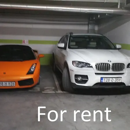 Luxury Estate Misevici